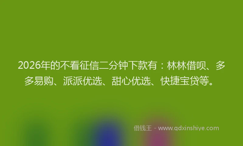 2026年的不看征信二分钟下款有：林林借呗、多多易购、派派优选、甜心优选、快捷宝贷等。
