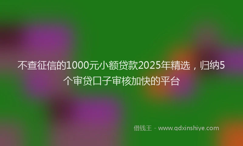 不查征信的1000元小额贷款2025年精选，归纳5个审贷口子审核加快的平台