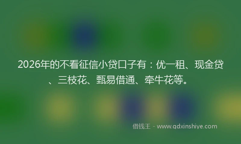 2026年的不看征信小贷口子有：优一租、现金贷、三枝花、甄易借通、牵牛花等。