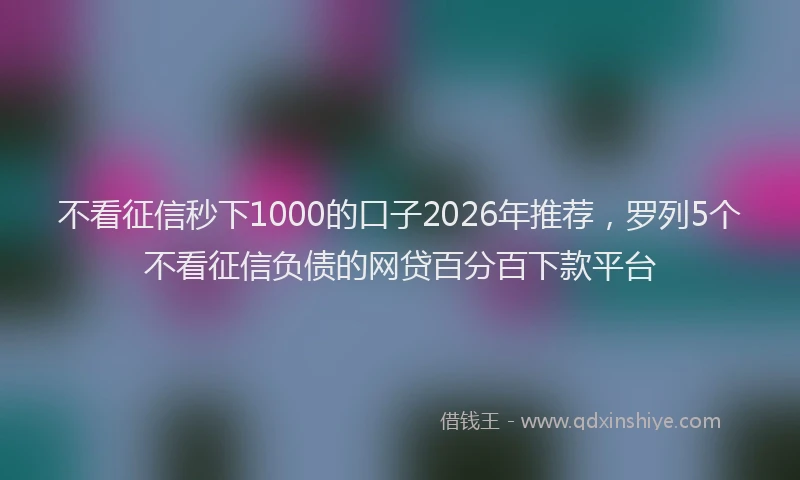 不看征信秒下1000的口子2026年推荐，罗列5个不看征信负债的网贷百分百下款平台