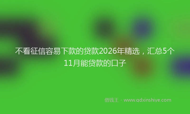 不看征信容易下款的贷款2026年精选，汇总5个11月能贷款的口子