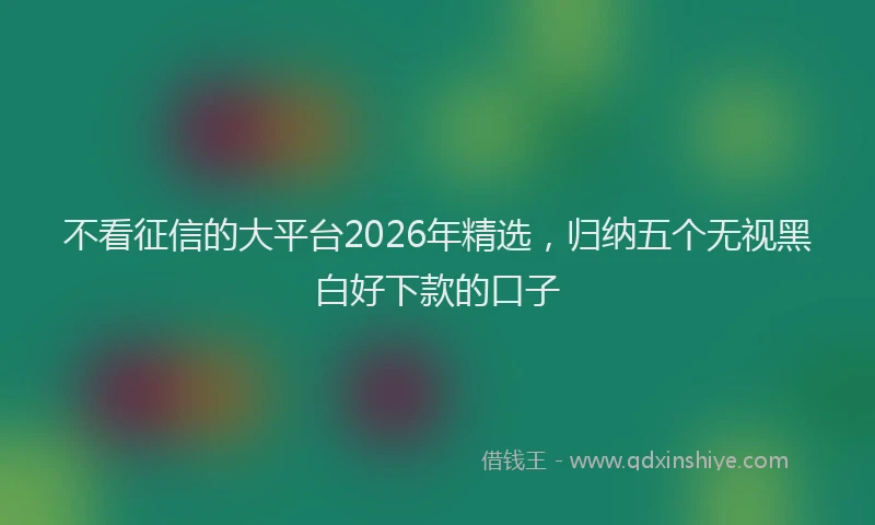 不看征信的大平台2026年精选,归纳五个无视黑白好下款的口子