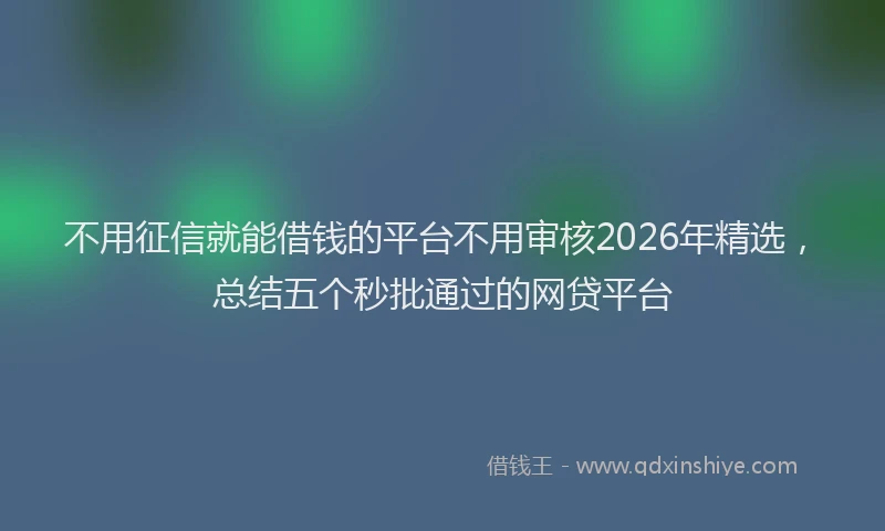 不用征信就能借钱的平台不用审核2026年精选，总结五个秒批通过的网贷平台