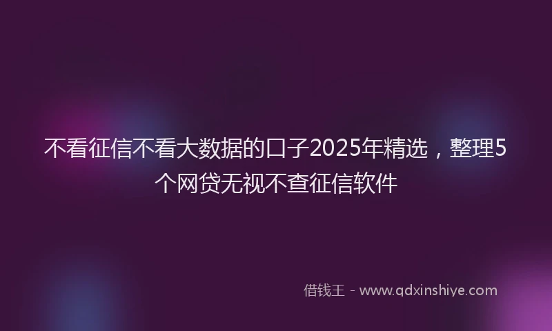 不看征信不看大数据的口子2025年精选，整理5个网贷无视不查征信软件