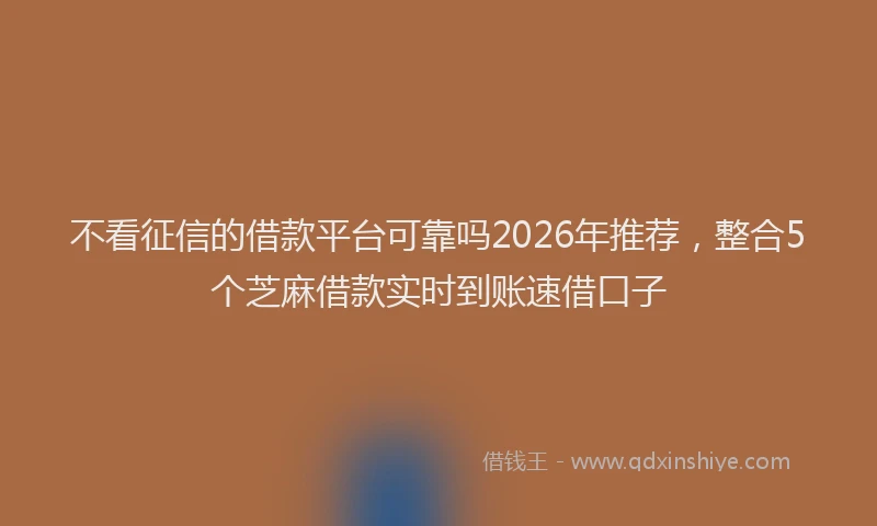 不看征信的借款平台可靠吗2026年推荐，整合5个芝麻借款实时到账速借口子
