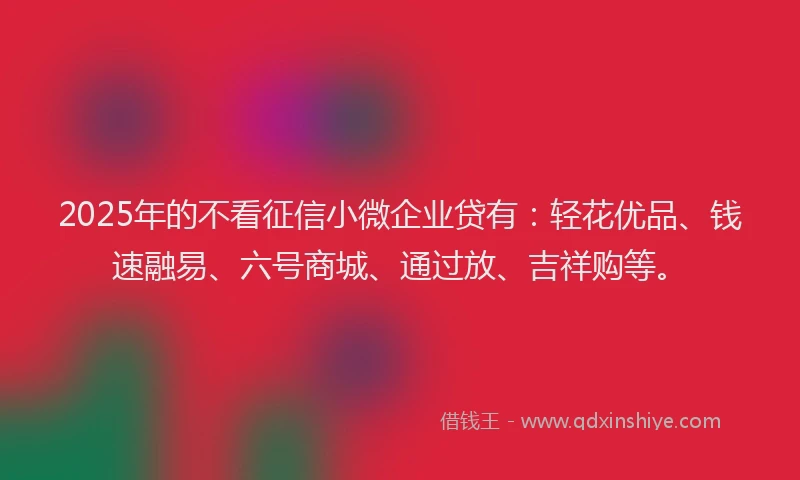 2025年的不看征信小微企业贷有：轻花优品、钱速融易、六号商城、通过放、吉祥购等。