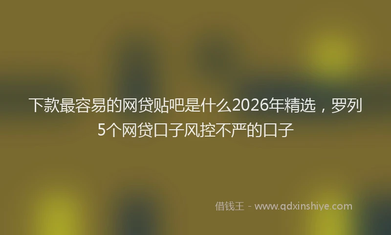 下款最容易的网贷贴吧是什么2026年精选，罗列5个网贷口子风控不严的口子