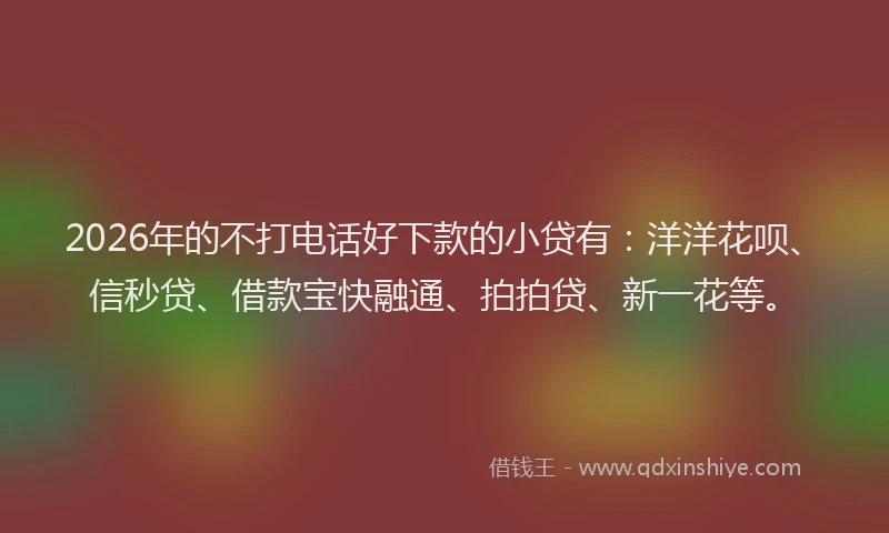 2026年的不打电话好下款的小贷有：洋洋花呗、信秒贷、借款宝快融通、拍拍贷、新一花等。
