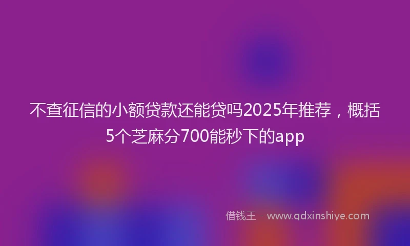 不查征信的小额贷款还能贷吗2025年推荐，概括5个芝麻分700能秒下的app