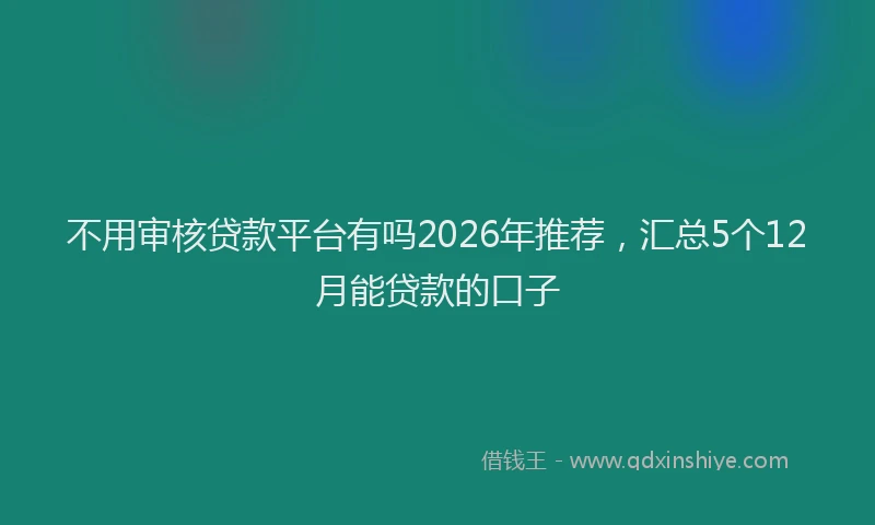 不用审核贷款平台有吗2026年推荐，汇总5个12月能贷款的口子