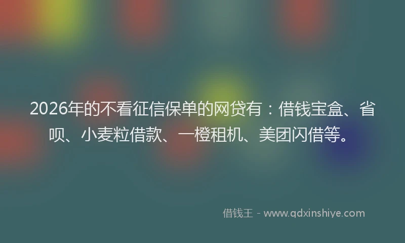 2026年的不看征信保单的网贷有：借钱宝盒、省呗、小麦粒借款、一橙租机、美团闪借等。