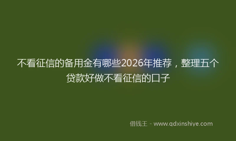 不看征信的备用金有哪些2026年推荐，整理五个贷款好做不看征信的口子