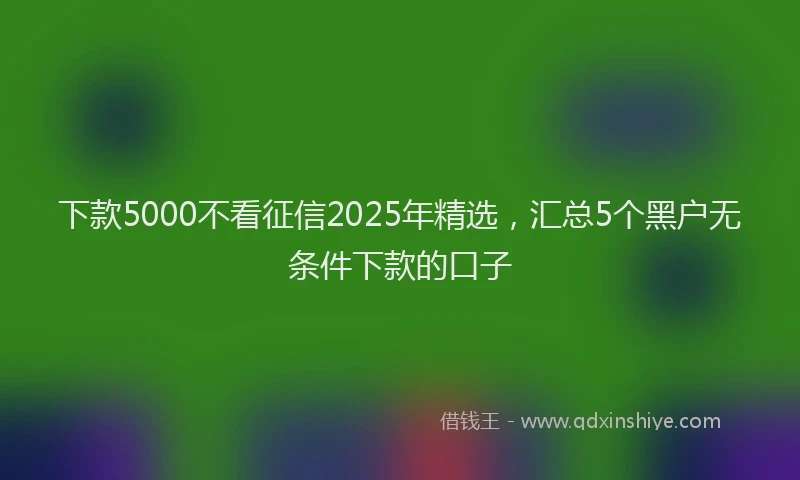 下款5000不看征信2025年精选，汇总5个黑户无条件下款的口子