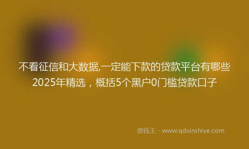 不看征信和大数据,一定能下款的贷款平台有哪些2025年精选，概括5个黑户0门槛贷款口子