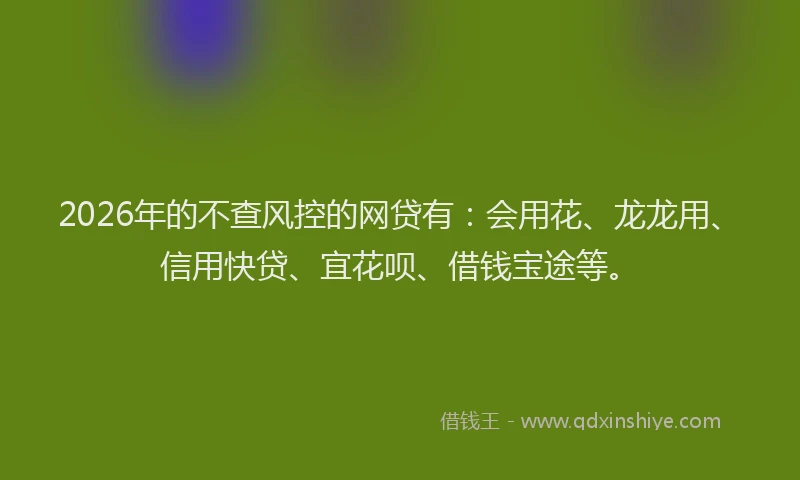 2026年的不查风控的网贷有：会用花、龙龙用、信用快贷、宜花呗、借钱宝途等。