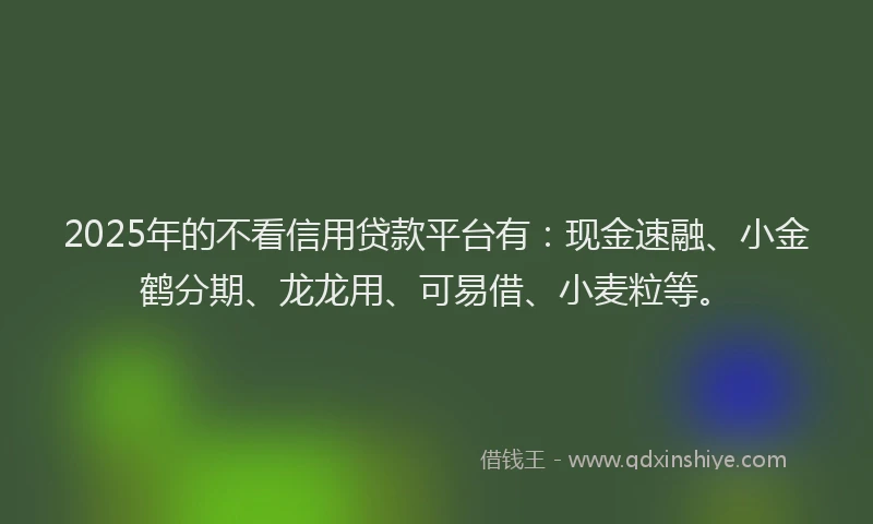 2025年的不看信用贷款平台有：现金速融、小金鹤分期、龙龙用、可易借、小麦粒等。