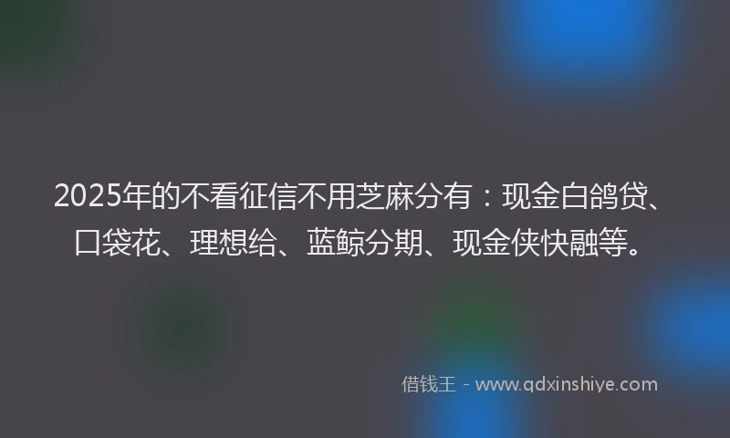 2025年的不看征信不用芝麻分有：现金白鸽贷、口袋花、理想给、蓝鲸分期、现金侠快融等。