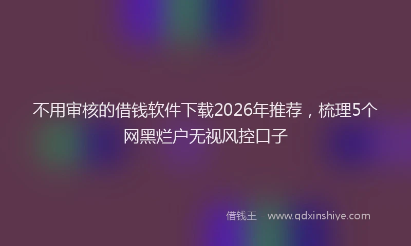 不用审核的借钱软件下载2026年推荐，梳理5个网黑烂户无视风控口子