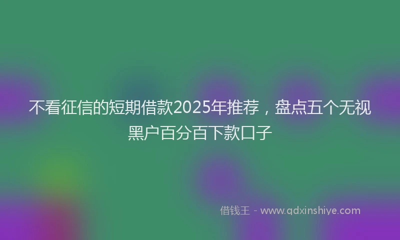 不看征信的短期借款2025年推荐，盘点五个无视黑户百分百下款口子