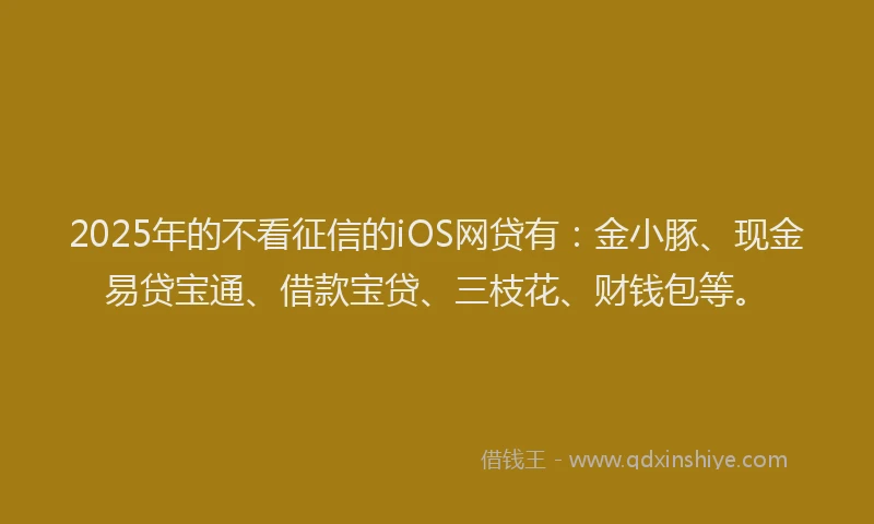 2025年的不看征信的iOS网贷有：金小豚、现金易贷宝通、借款宝贷、三枝花、财钱包等。