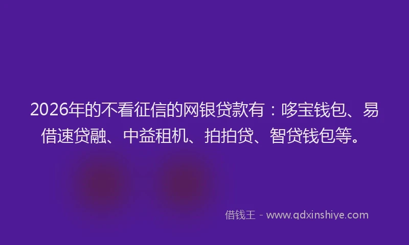 2026年的不看征信的网银贷款有：哆宝钱包、易借速贷融、中益租机、拍拍贷、智贷钱包等。