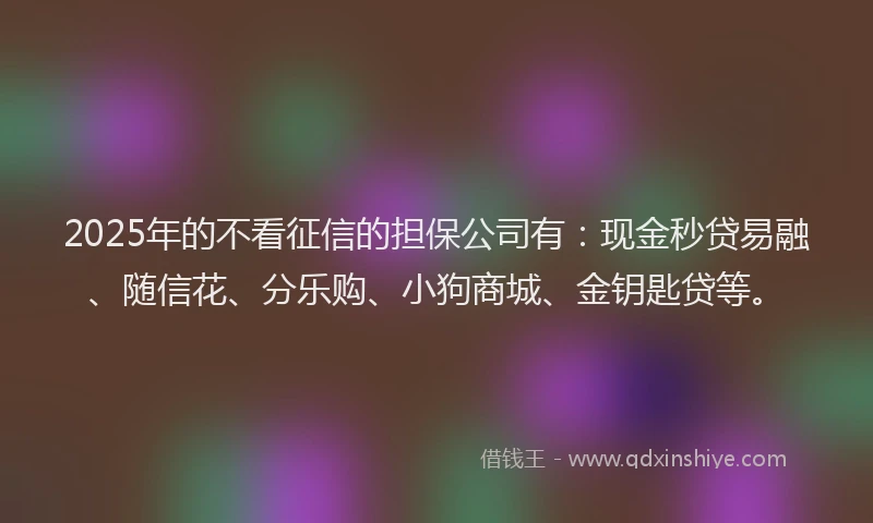 2025年的不看征信的担保公司有：现金秒贷易融、随信花、分乐购、小狗商城、金钥匙贷等。