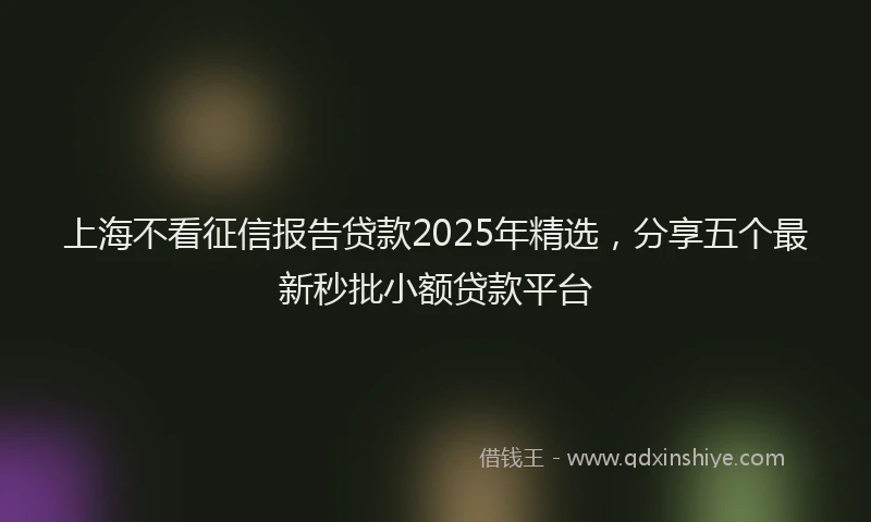 上海不看征信报告贷款2025年精选，分享五个最新秒批小额贷款平台