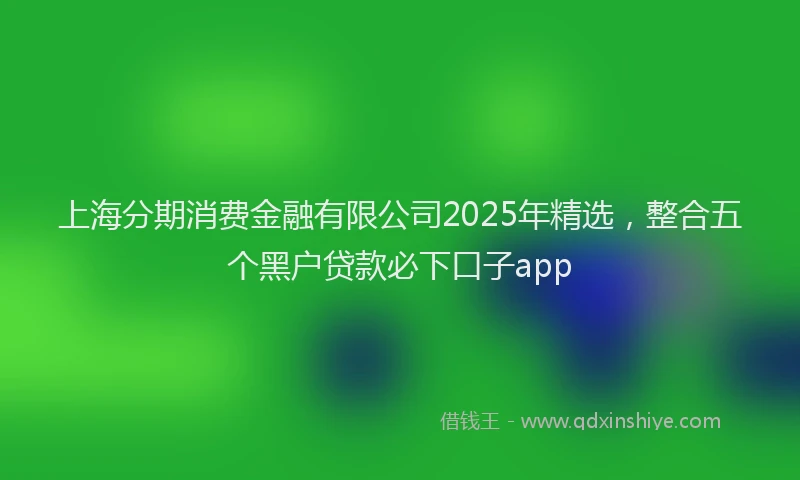 上海分期消费金融有限公司2025年精选，整合五个黑户贷款必下口子app