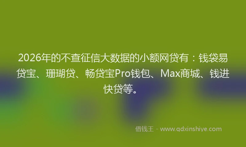 2026年的不查征信大数据的小额网贷有：钱袋易贷宝、珊瑚贷、畅贷宝Pro钱包、Max商城、钱进快贷等。