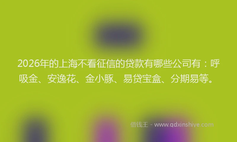 2026年的上海不看征信的贷款有哪些公司有：呼吸金、安逸花、金小豚、易贷宝盒、分期易等。