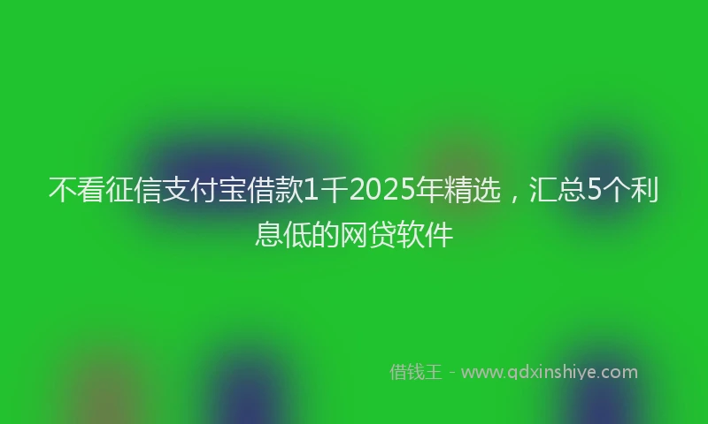 不看征信支付宝借款1千2025年精选，汇总5个利息低的网贷软件