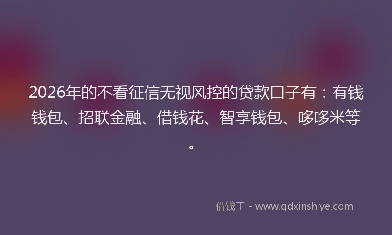 2026年的不看征信无视风控的贷款口子有：有钱钱包、招联金融、借钱花、智享钱包、哆哆米等。