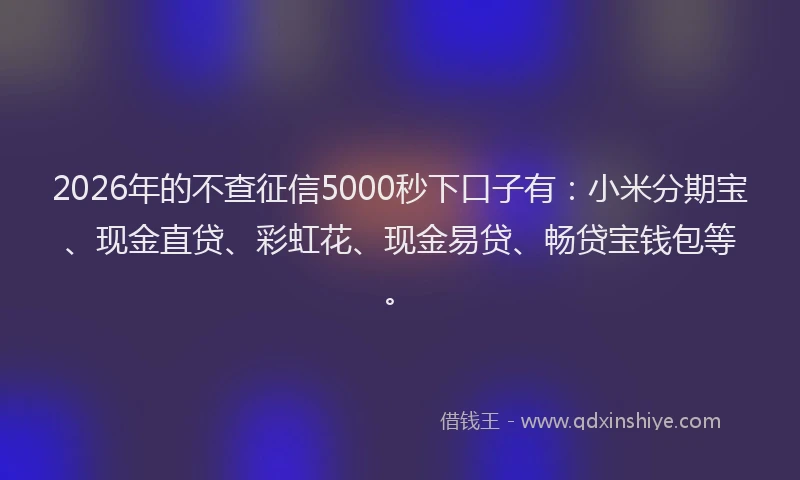 2026年的不查征信5000秒下口子有:小米分期宝、现金直贷、彩虹花、现金易贷、畅贷宝钱包等。