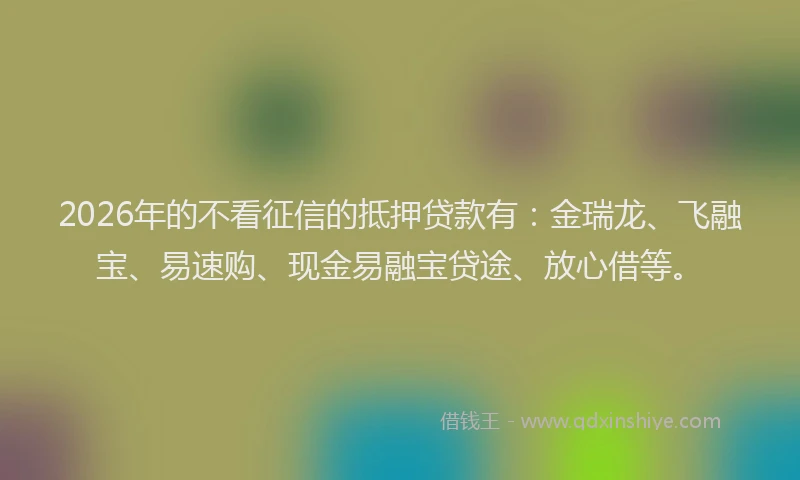 2026年的不看征信的抵押贷款有：金瑞龙、飞融宝、易速购、现金易融宝贷途、放心借等。