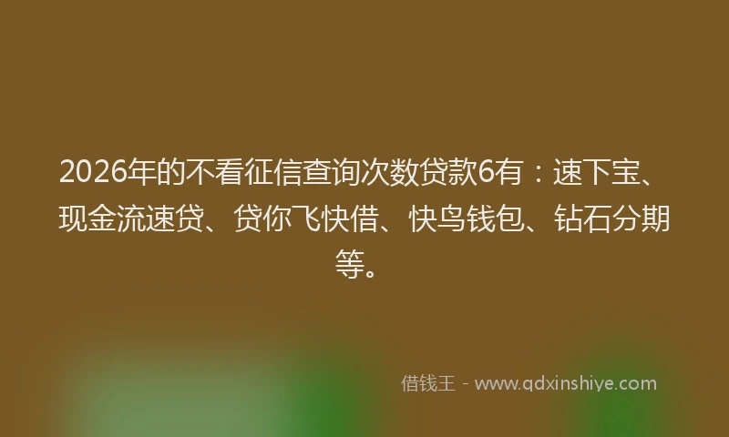 2026年的不看征信查询次数贷款6有:速下宝、现金流速贷、贷你飞快借、快鸟钱包、钻石分期等。