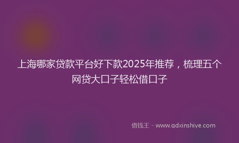 上海哪家贷款平台好下款2025年推荐，梳理五个网贷大口子轻松借口子