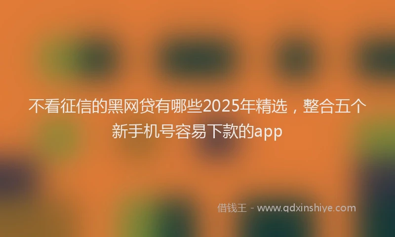 不看征信的黑网贷有哪些2025年精选，整合五个新手机号容易下款的app