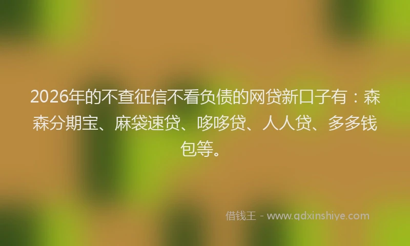 2026年的不查征信不看负债的网贷新口子有：森森分期宝、麻袋速贷、哆哆贷、人人贷、多多钱包等。