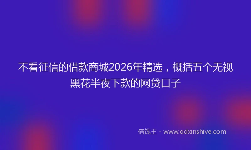 不看征信的借款商城2026年精选，概括五个无视黑花半夜下款的网贷口子