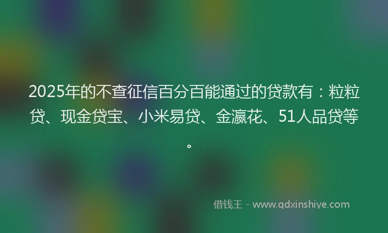 2025年的不查征信百分百能通过的贷款有：粒粒贷、现金贷宝、小米易贷、金瀛花、51人品贷等。