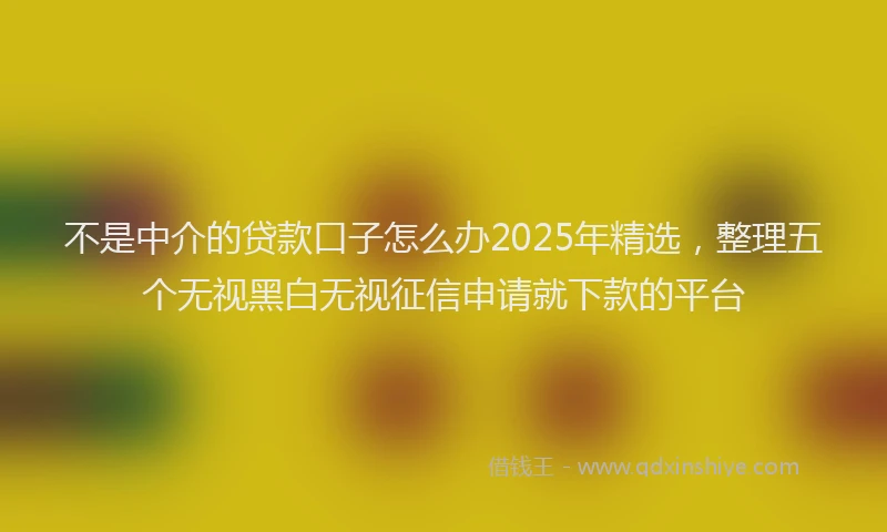 不是中介的贷款口子怎么办2025年精选，整理五个无视黑白无视征信申请就下款的平台