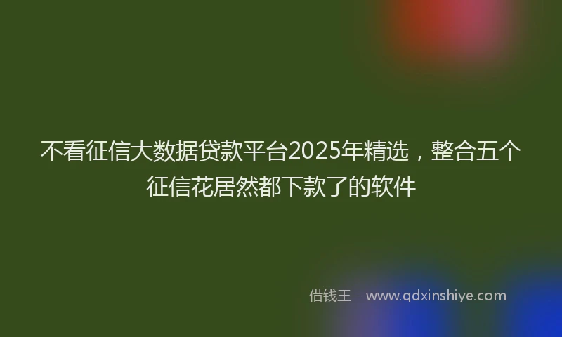 不看征信大数据贷款平台2025年精选，整合五个征信花居然都下款了的软件