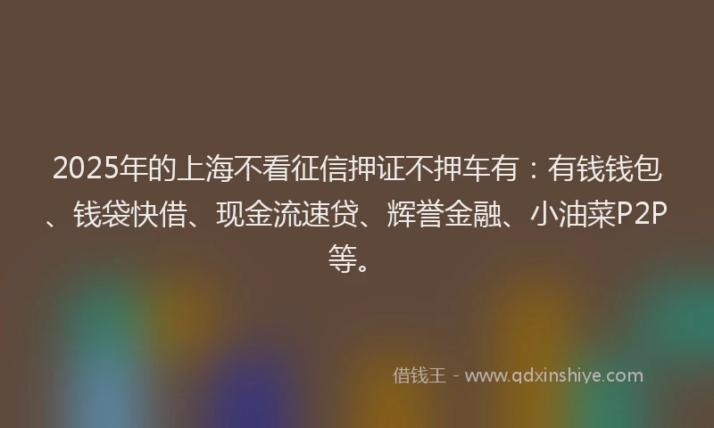 2025年的上海不看征信押证不押车有：有钱钱包、钱袋快借、现金流速贷、辉誉金融、小油菜P2P等。