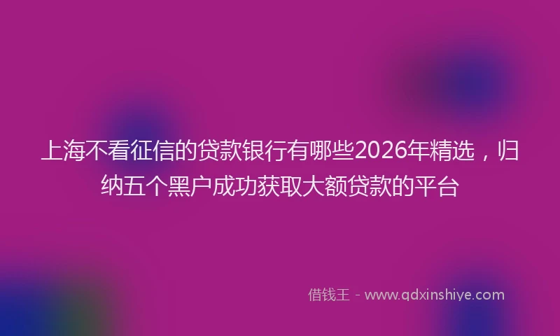 上海不看征信的贷款银行有哪些2026年精选，归纳五个黑户成功获取大额贷款的平台