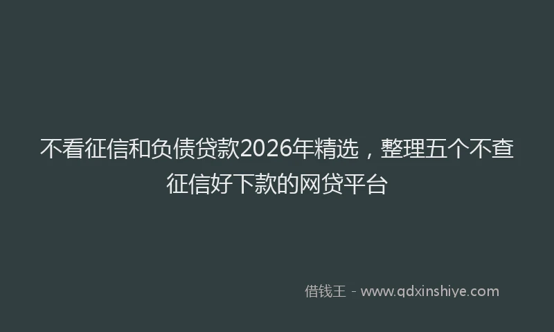 不看征信和负债贷款2026年精选，整理五个不查征信好下款的网贷平台
