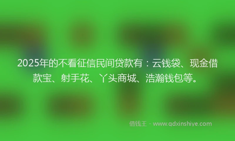 2025年的不看征信民间贷款有：云钱袋、现金借款宝、射手花、丫头商城、浩瀚钱包等。