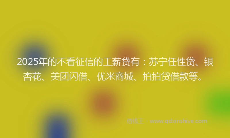 2025年的不看征信的工薪贷有：苏宁任性贷、银杏花、美团闪借、优米商城、拍拍贷借款等。