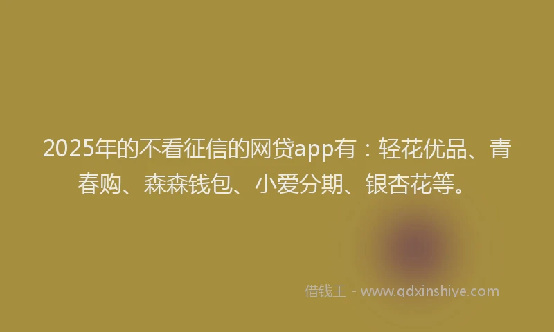 2025年的不看征信的网贷app有：轻花优品、青春购、森森钱包、小爱分期、银杏花等。