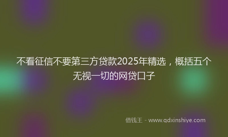 不看征信不要第三方贷款2025年精选，概括五个无视一切的网贷口子