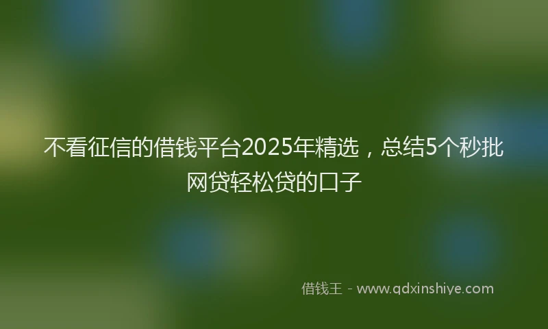 不看征信的借钱平台2025年精选，总结5个秒批网贷轻松贷的口子